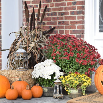 Holiday Decor