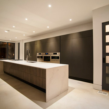 Lincoln Park Modern Kitchen in a Custom Reimagined Three-Flat Home