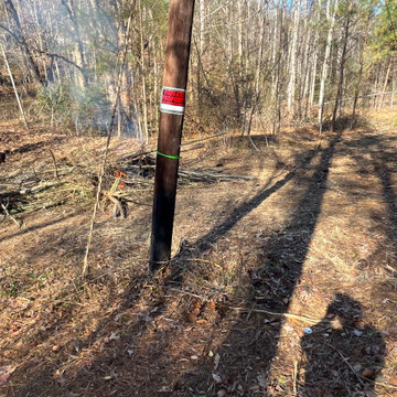 Landscaping , yard clean up trash and debris