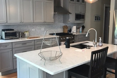 Inspiration for a mid-sized contemporary kitchen remodel in Chicago