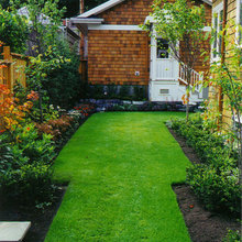 Backyard Ideas