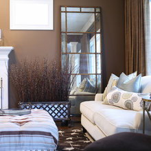 Living Room Ideas
