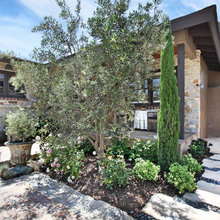 Tuscan Landscape
