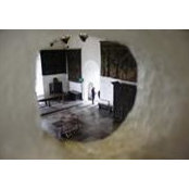 Missy Coyne's photo