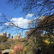 Georgina W's photo