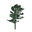 White Pine Professional Gardens