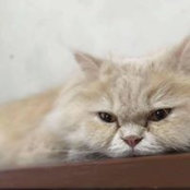 Jay Dimaandal's photo