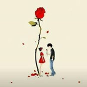 Heba Ramadan's photo