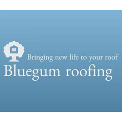 Bluegum roofing