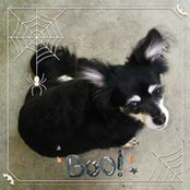 Timberlee Woods's photo
