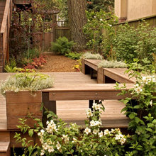 Exterior Ideas
