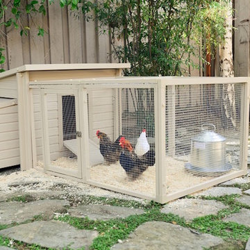 Chicken Coop for Urban Farming