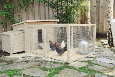 Chicken Coop for Urban Farming