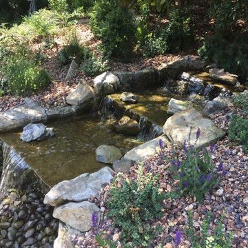 Lush Landscape