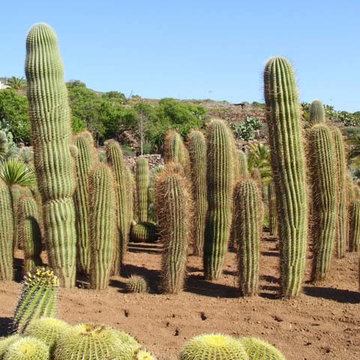 giardino Pantelleria