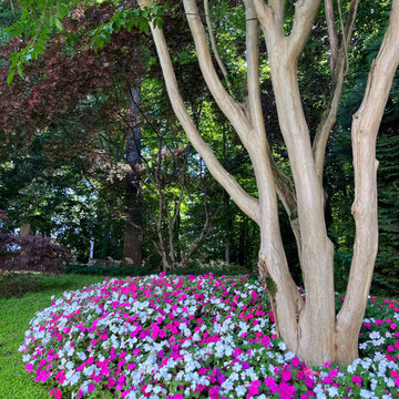 Landscaping Highlights
