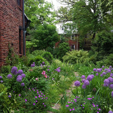 Natural Landscapes