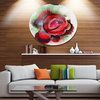 Beautiful Red Rose With Green Shade, Floral Round Wall Art, 11"