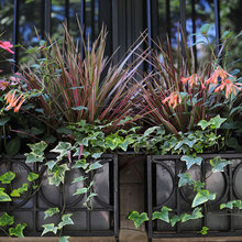 window boxes