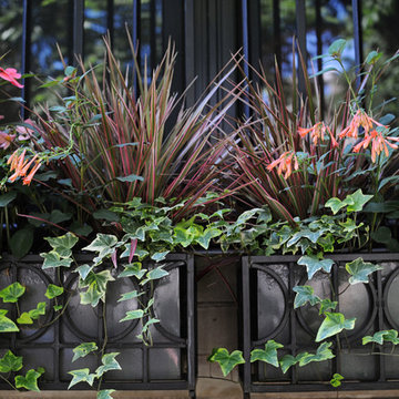 Summer Containers