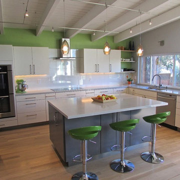 Sleek Modern Kitchen