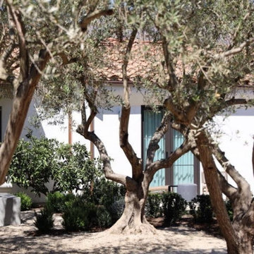 Santa Barbara Spanish Mediterranean