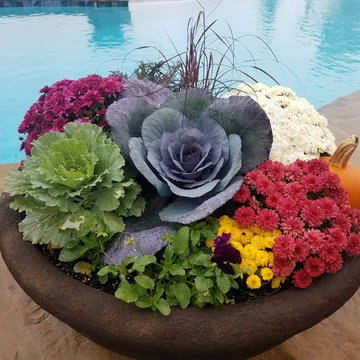 Fall Pots