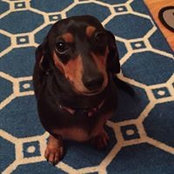 Elizabeth Helder's photo