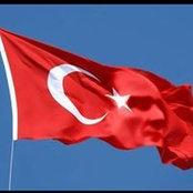 Sinem Akins billede