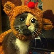 Gloria Jones's photo