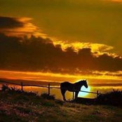 Linda Roberson's photo