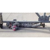 Margueriete Lynchard-Pinnix's photo