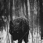 Luka Sadari's photo
