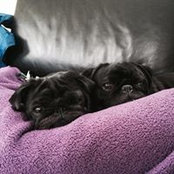 Foto von Leanne Mason