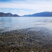 Laura Egeland's photo