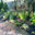 Raffiani's Automatic Sprinkler Service
