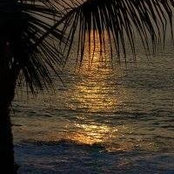 Sheila Brown's photo