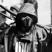 Massimo Cervigni's photo