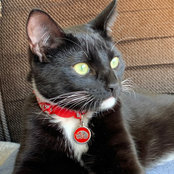 Lisa Sodders's photo