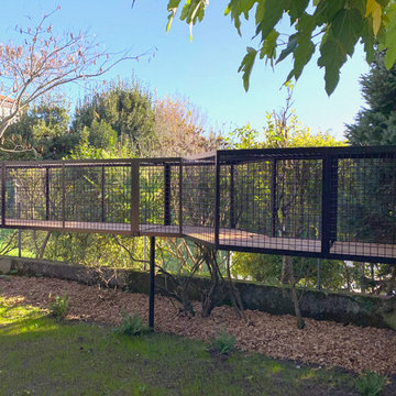 Jardin pour chats - Cat power