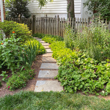 Rear and Front Bethesda Home Landscape