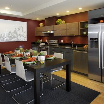 Condominium Interiors - Kitchens