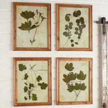 Art/Wall decor