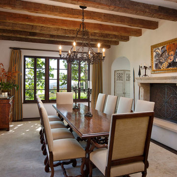 Dining Room Fireplaces by Ancient Surfaces