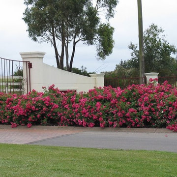 Plantings to soften the landscape