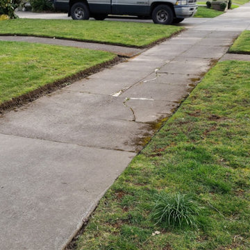 Yard Work