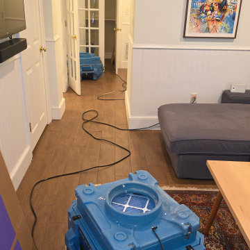 Mold Removal
