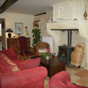 Living Room Fireplaces