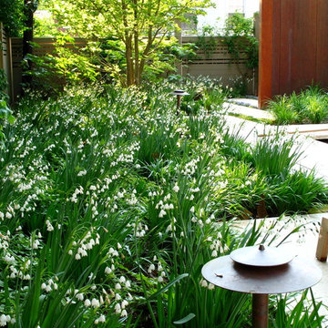 Courtyard Garden