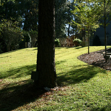 Zenith Zoysia